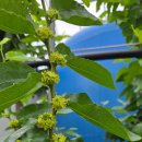 유진농장 이미지