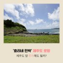 과수원민박 이미지