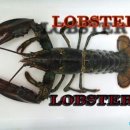 황산초지사계절바다낚시터 이미지