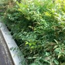 월포초등학교(병설유치원) 이미지