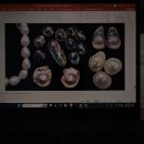 감정 톡톡, 마음 힐링 | 서울 청년 힐링 워크숍, [내 마음의 진주를 꺼내는 법] 출강 후기