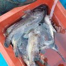 대천소담펜션 이미지