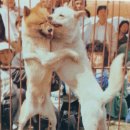 창용농장 이미지