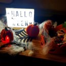 늘푸른쉼터캠핑장 이미지