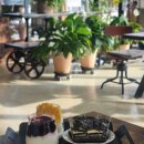 파티오6747 이미지