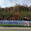 대구종합유통단지 전자상가 이미지