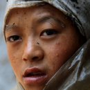 벌과 사람 이미지