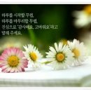 삶의 길을 밝혀주는 지혜의 등불 이미지