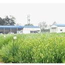 천지원 농장 이미지