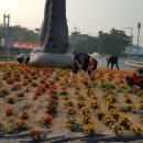 봉소3리 이미지