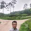 버들냉면