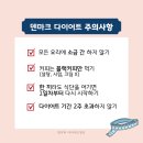 세모다방