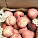 신대농장 이미지