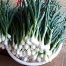 삼형제 한우농장 이미지