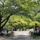 무주홀리데이파크 이미지