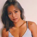 송가연 카카오 검색결과