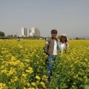 참한 결혼정보 이미지