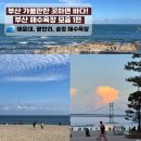 송정라인2차경로당 | 부산 가볼만한 곳하면 바다! 부산 바다 모음 1편 (해운대, 광안리, 송정 해수욕장)