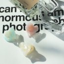 앨리헤어 이미지