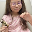 두레촌 | [강봉석 명인조청 블랙영양바 추천] 두레촌 믿고 먹는 우리 가족 간식 후기