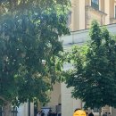 잘신고 전주점 이미지