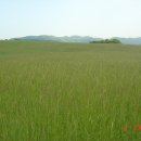 자명목장 이미지