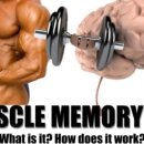 머슬메모리 이미지