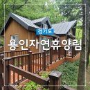 에버랜드 근처 숙소 용인자연휴양림 예약 방법과 느티골 숙박 후기