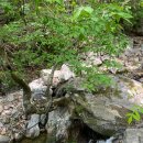 아베크 락 이미지