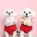 주토피아스튜디오 이미지