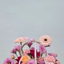 한려 | 여수꽃집에서 꽃 준비 할 땐 결국 여기, 한려꽃직매장 후기