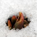 아늑한쉼터 이미지