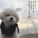 비지케이