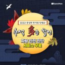 스피드메이트 이미지