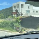 산구름마을펜션민박 | 충남 산구름마을펜션민박에서 1박 2일 K-썸머 코어