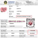 글로벌전자 | [글로벌비자센터] 재한 중국인 몽골 전자비자(e-Visa) 신청 및 발급 성공 후기 (주의사항 총정리)