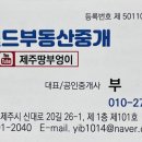 제주삼정부동산중개 이미지