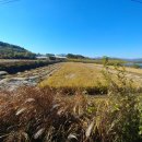 컨설팅월드공인중개사이수희사무소 이미지