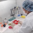 닭오리공판장 이미지