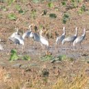 주남