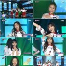 더샤샤 MK스포츠