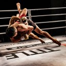 서귀포주짓수,복싱 이미지