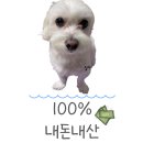 [고양시 화정] 외계인 방앗간 쌀빵 노글루텐 밀가루없는빵 쌀로만든빵 글루텐프리쌀빵 쌀디저트 쌀카페