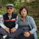 용원초교 이미지