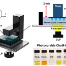 네이처 잉크 이미지