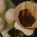 커피인더스터디