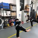 장지합기도 강류관 이미지