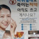 생생원리젠 - 남구 문수로435번길 24 | 생생원리젠