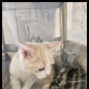 순창 동물병원 이미지