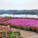 요산마을 이미지